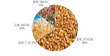 中國農業地圖大數據 加工谷物產品發展現狀與未來趨勢